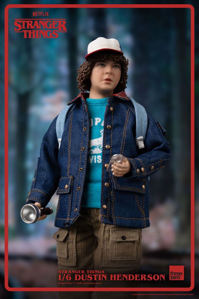 Stranger Things 1/6 Dustin Henderson Action Figure 9"