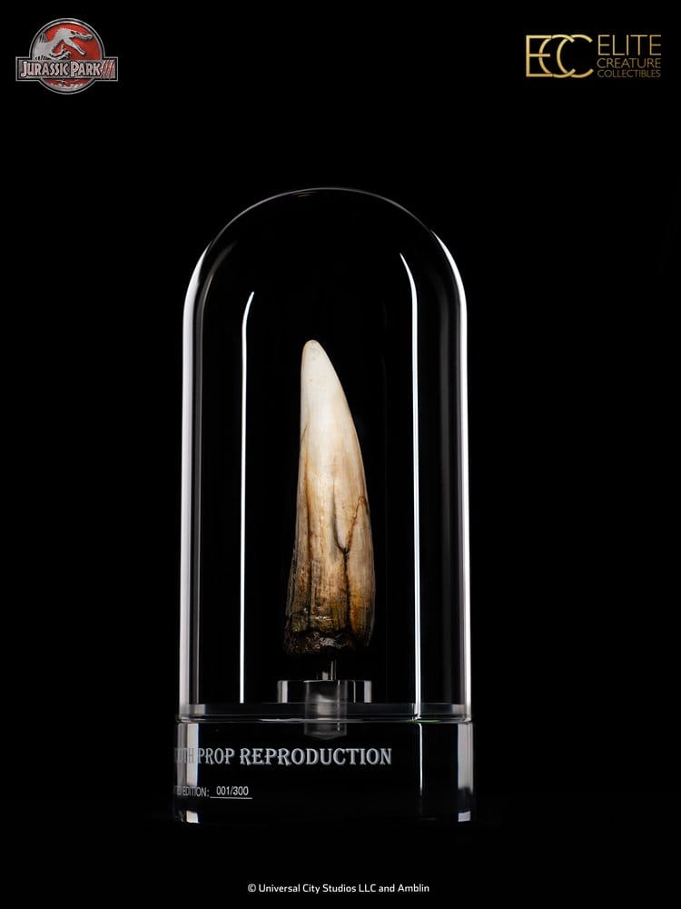 Jurassic Park III Prop Replica 1/1 Spinosaurus Tooth 14 cm