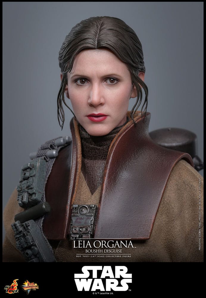 Star Wars Episode VI Movie Masterpiece Action Figure 1/6 Leia Organa (Boushh Disguise) 27 cm