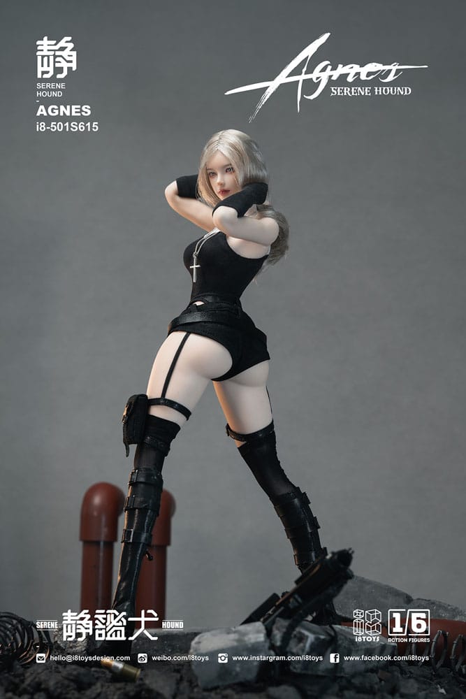 Original Character Action Figure 1/6 Serene Hound 