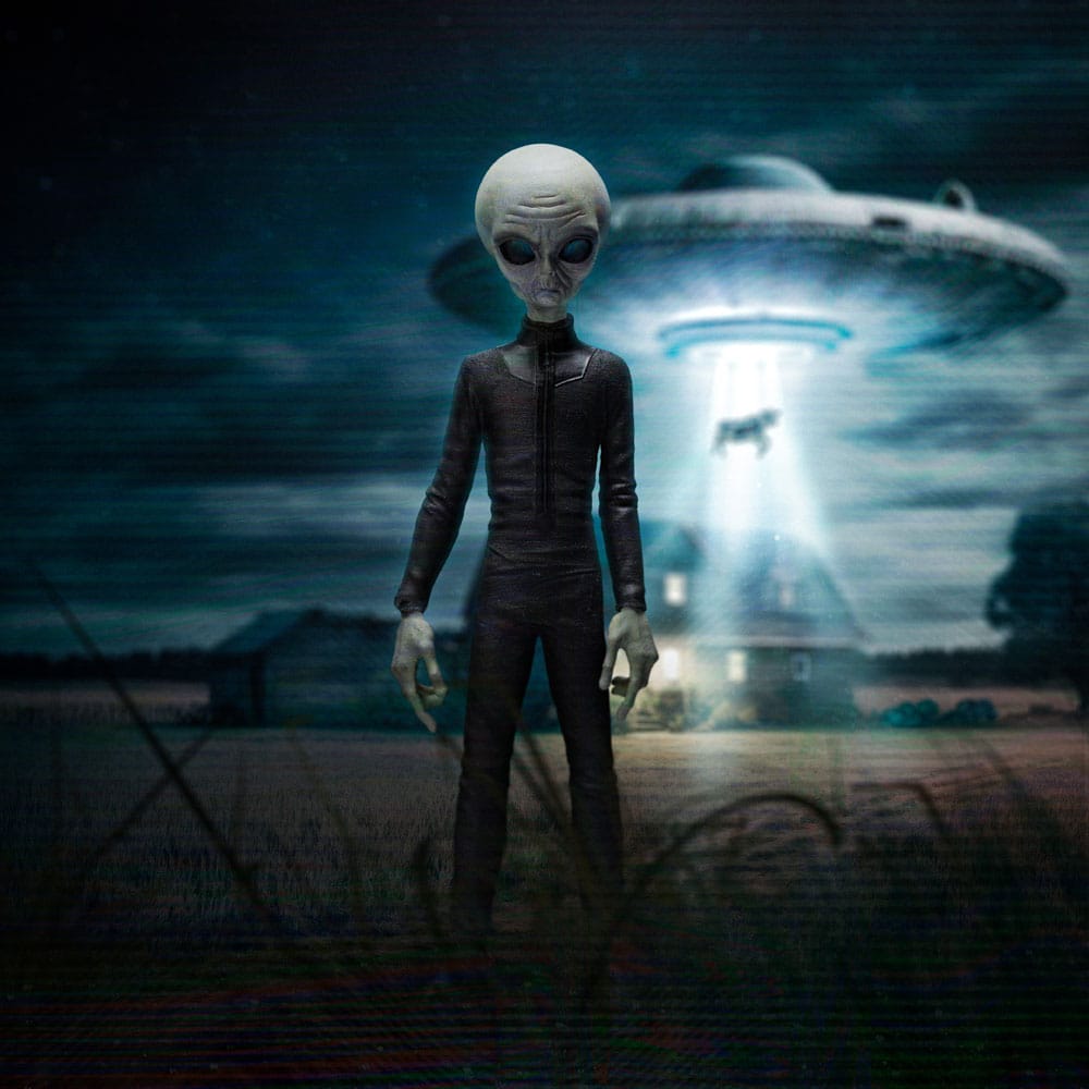 I want to Believe Art Scale Statue 1/10 Alien Grey 21 cm