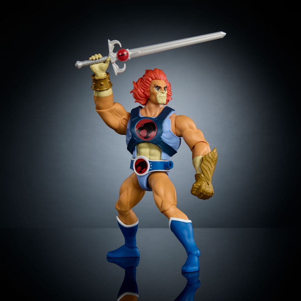 Masters of the Universe x ThunderCats Action Figure Lion-O 14 cm