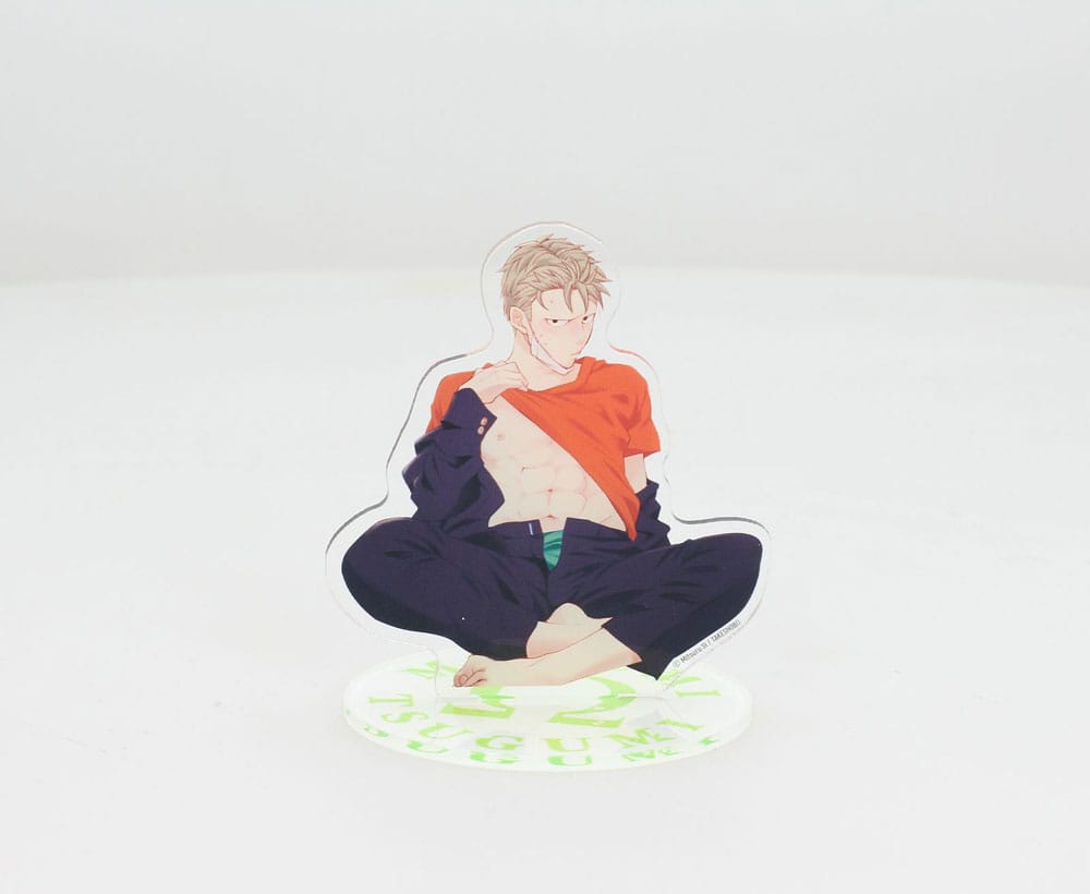 Megumi &amp; Tsugumi Figura acrilica Megumi 21 cm