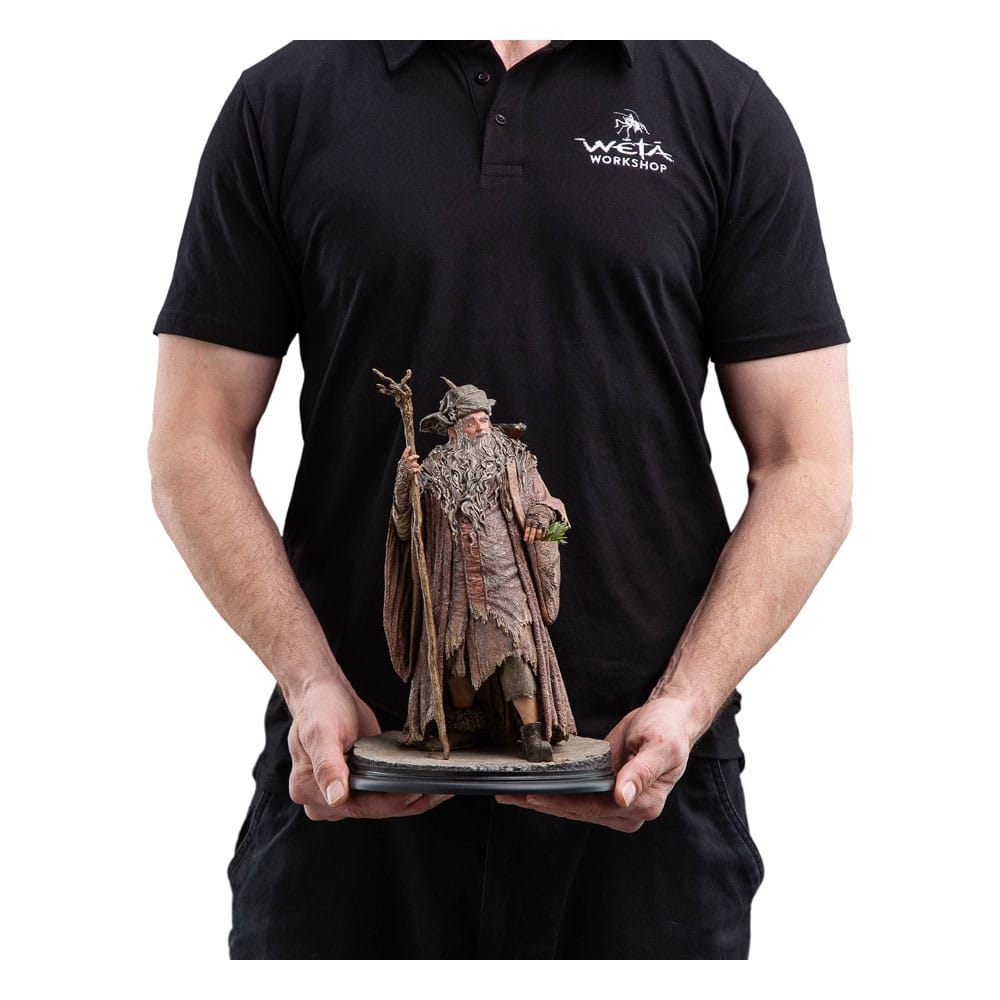 Il Signore degli Anelli Statua 1/6 Radagast 30 cm